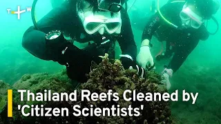 'Citizen Scientists' Help Clean Up Thailand's Reefs | TaiwanPlus News