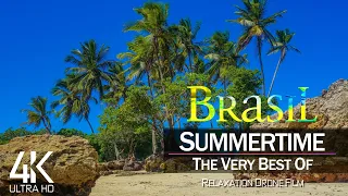 【4K】🇧🇷🌴 DRONE FILM: «Summer in Brazil» 🔥🔥🔥 Ultra HD 🎵 Lo-Fi Chillout Music