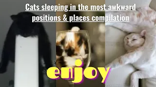 Cats choosing the most awkward places & positions to sleep compilation. They're purrrrfect