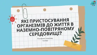 ЯКІ ПРИСТОСУВАННЯ ОРГАНІЗМІВ ДО ЖИТТЯ В НАЗЕМНО- ПОВІТРЯНОМУ СЕРЕДОВИЩІ?