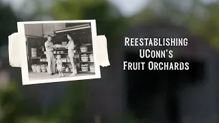 Reestablishing UConn's Fruit Orchards | UConn