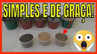 ⭕O MELHOR SUBSTRATO PRA SUCULENTAS!? SUBSTRATO CASEIRO PARA PLANTAS 👉COMO FAZER SEM GASTAR NADA!😱