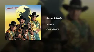 Bronco  · Amor Salvaje  (AUDIO)