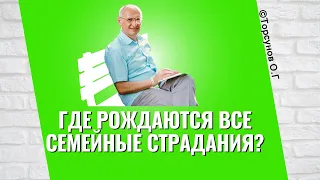 Где рождаются все семейные страдания? Торсунов лекции