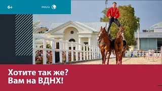 Центр национальных конных традиций на ВДНХ — Москва FM