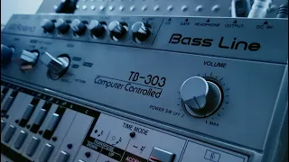 Emerge (Fischerspooner) Bassline on a Roland TB-303 like the Original