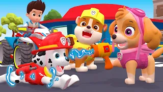 PAW Patrol Ultimate Rescue Missions⛑💔 SKYE Please Don't Hurt Marshall!! - Very Sad Story | Rainbow 3
