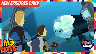 Wild Kratts | Stealing The Little Snacks | Akili Kids!