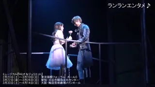 ミュージカル『ロミオ＆ジュリエット』ゲネプロ　古川雄大　葵わかな