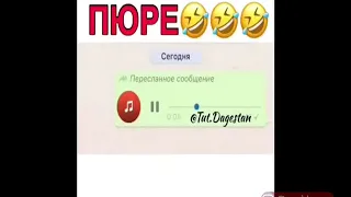 Хабиб делает ПЮРЕ