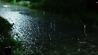 Comfortable Rain Sounds on a Beautiful Rainy Walk- 1h Rain sounds to suit a sleepless night & Relax