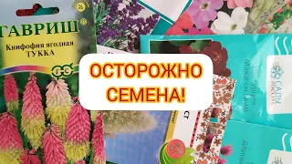 ЧЕСТНЫЙ ОТЗЫВ О СЕМЕНАХ. Какие семена буду сажать ВСЕГДА , а какие НИКОГДА  не куплю!