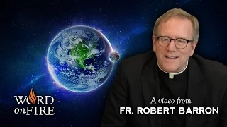 What Is Natural Law? (#AskBishopBarron)