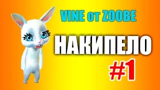 Накипело #1 Сборка вайнов #vine от #ZOOBE Зайки Домашней Хозяйки видео приколы