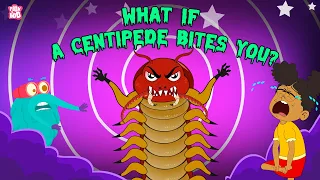 What if a Centipede Bites You? | Are Centipedes Poisonous? | Deadliest Insects | The Dr. Binocs Show