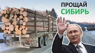 Прощавай,Сибір!Китай стає господарем російського  Сибіру.