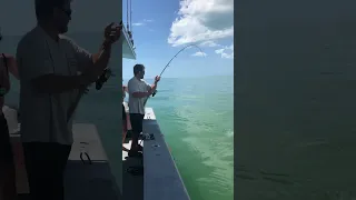 Wife catches a Tiger Shark !!