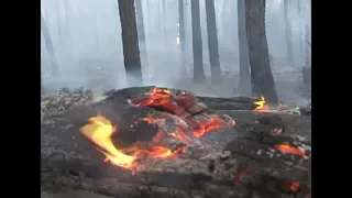 2 млрд рублей на развитие пожарной авиации планируют вложить в Красноярском крае