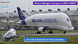 Airbus Beluga a300-608ST - Beluga 5 - Close Up Arrival & Departure From Chester Hawarden Airport 4K