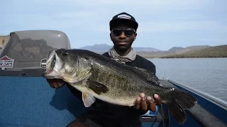 How To Fish BIG Swimbaits For BIG Bass