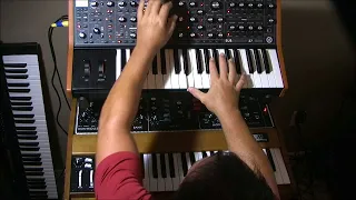 Moog Model D and Subsequent 37 HUGE SOUND!!!