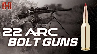 22 ARC: Bolt Guns