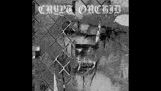 Crypt Orchid - incidental altruism (2023) - 𝘊𝘰𝘮𝘱𝘪𝘭𝘢𝘵𝘪𝘰𝘯