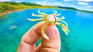 Fishing a Micro Crab Lure in ULTRA CLEAR Shallow Water.