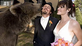 25 Amazing Weird WTF Wedding Photos - Wedding Photo Fails 2017 HD