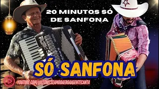 SANFONADA - 20 MINUTOS SÓ DE SANFONA