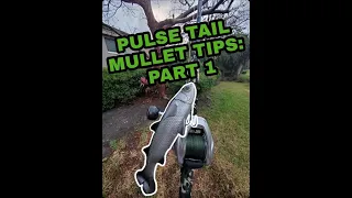 Pulse Tail Mullet Tips: Part 1