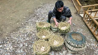 How to knit a basket to make a nest for chickens to lay eggs | Chúc Tòn Bình - Ep.53