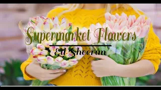 SUPERMARKET FLOWERS | Ed Sheeran | Paul Universe