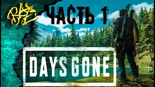 Days Gone ИГРА ПРО ЗОМБИ на PC   R-Zone Game TV