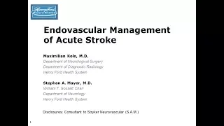 Endovascular Management of Acute Stroke