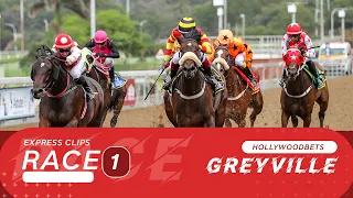 20240511 Hollywoodbets Greyville Race 1 won by SORCERESS SUPREME