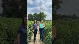 🍅 Hear from our Georgia #experts. Protect your crops today with AgBiome fungicides.