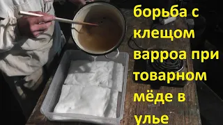 рецепт раствора щавелевой кислоты для полотенец от клеща