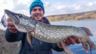 РАТТЛИН косит ЩУКУ! ЛОВЛЯ ЩУКИ НА ВОБЛЕР весной! Как ловить когда не клюет?