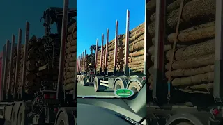 Logging Truck #asmr #shorts #truck