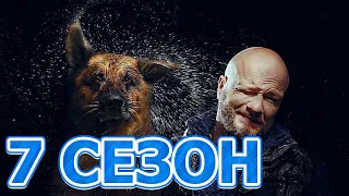 Сериал Пес  7 сезон