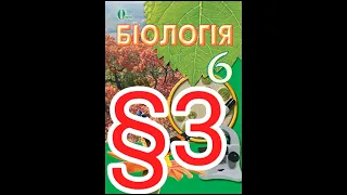 3 "Основні розділи біології"//6 клас Біологія Костікова