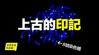 為什麼全世界的檸檬都讀Lemon？這背後有一個刻在8號染色體上的上古故事……|自說自話的總裁