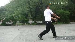 White Crane Chi Kung  白鶴氣功拳－ 手套　台灣武術 Gung Fu 梁文瀚 及Master Paul Cheng(程世寶baosu)71歲(2023.09.08)鶴拳起角發勁示範