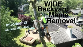 WIDE Backyard Maple Removal!