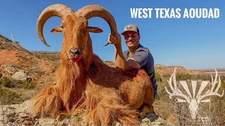 WEST TEXAS AOUDAD HUNT