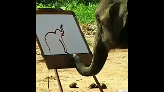Слон рисует слона. Слон-художник #животные #animals #shorts