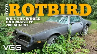 Will it RUN AND DRIVE 700 Miles Home? RUSTIEST Forgotten Firebird EVER!