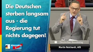 Die Deutschen sterben langsam aus - die Regierung tut nichts dagegen! - Martin Reichardt - AfD