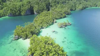 Indonesia Travel & Spearfishing - THE QUEST